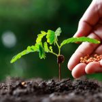 Sustainable Fertilizer Innovations: Driving Agricultural Productivity in 2026